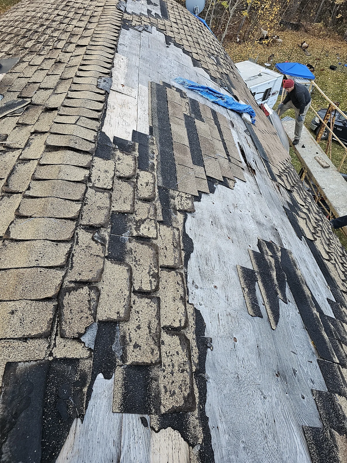 Worn shingles and exposed roof decking during repair assessment