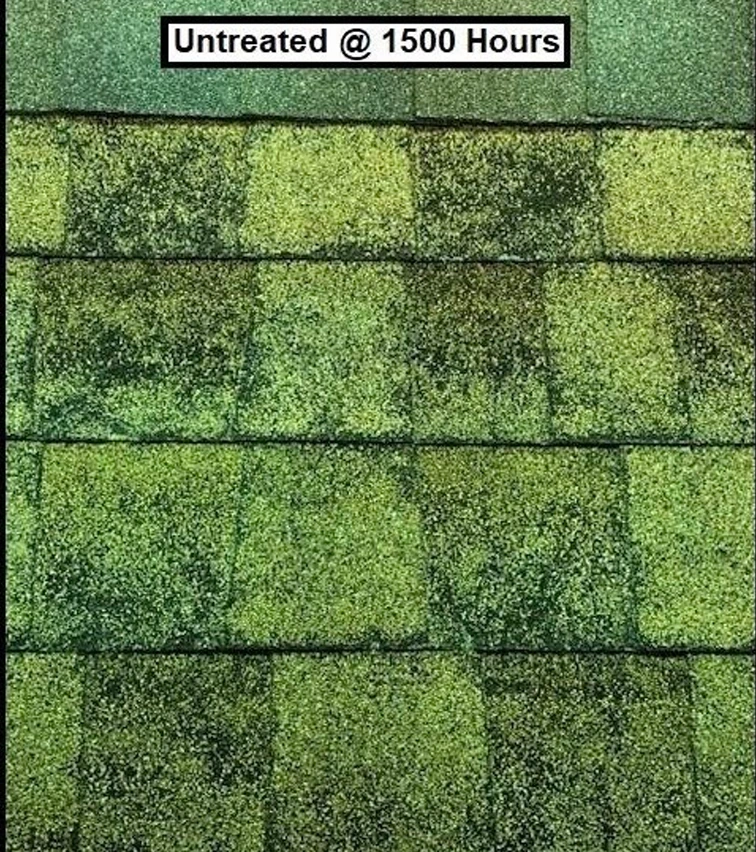 Untreated asphalt shingles after 1,500 hours of accelerated aging