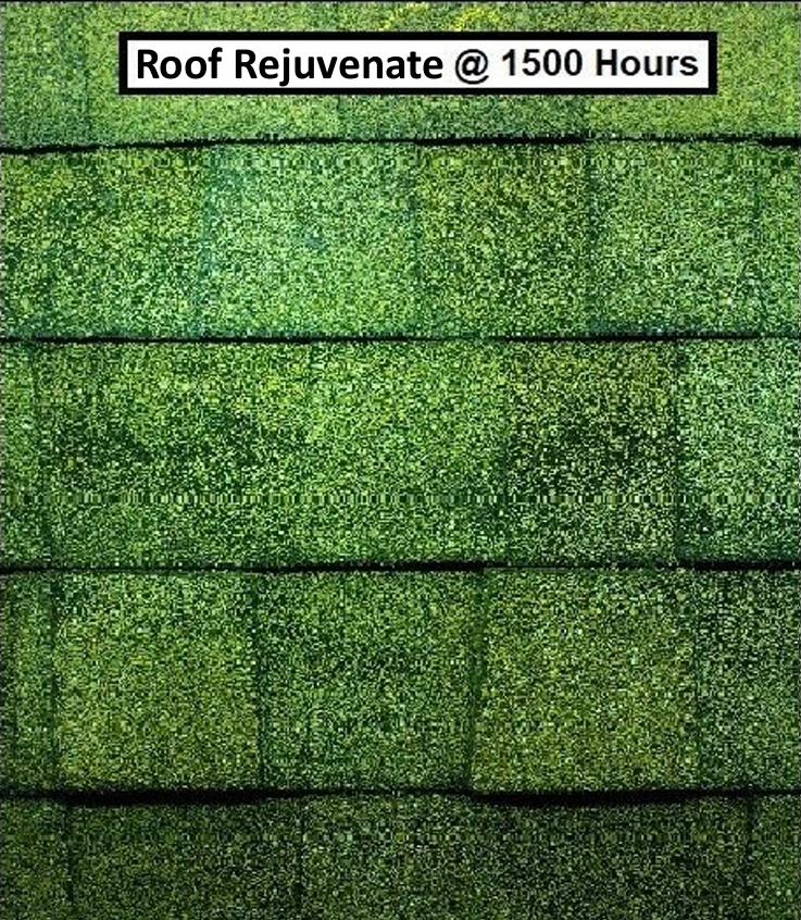 Roof Rejuvenate-treated shingles after 1,500 hours of accelerated aging